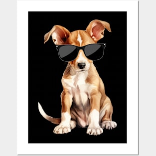 Ibizan Hound Puppy Wearing Sunglasses Posters and Art